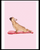 Perro Haciendo Yoga