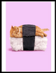 Gato Naranja Nigiri