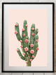 Cactus & Rose