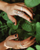 Anillo Alineación Planetaria